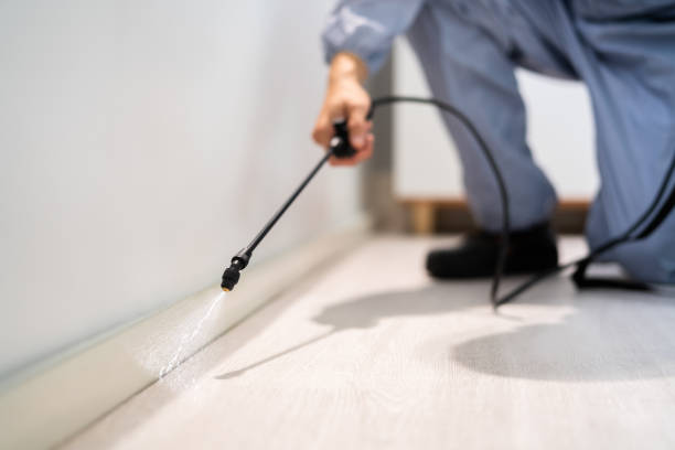 Licensed Rodent Control service in Avoca, PA - Nex Pest Control
