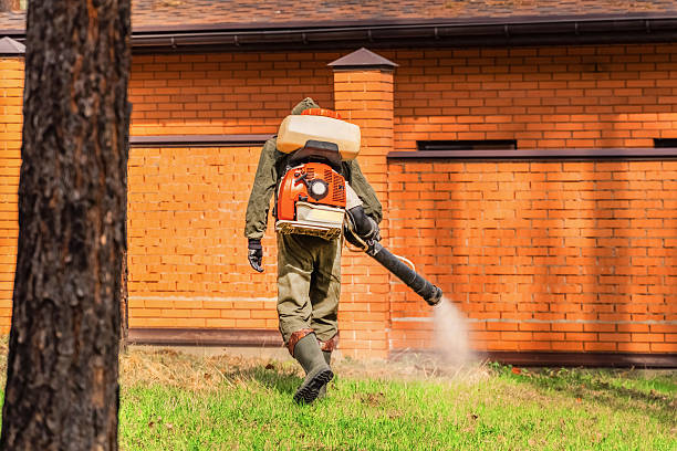 Trusted Rodent Control service in Avoca, PA - Nex Pest Control